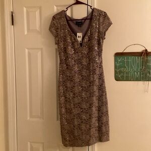 Gorgeous Dress Size 8 MOB or Formal Wedding mauve